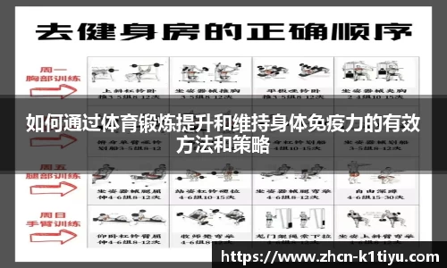 如何通过体育锻炼提升和维持身体免疫力的有效方法和策略